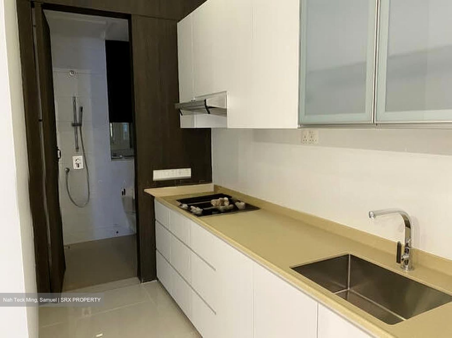 Tiong Bahru Estate (D3), Terrace #584130671
